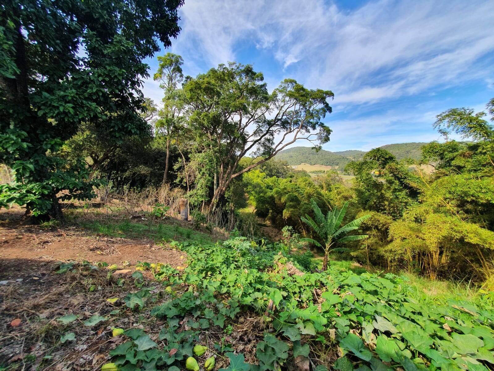 Casa de Condomínio à venda com 4 quartos, 800m² - Foto 40