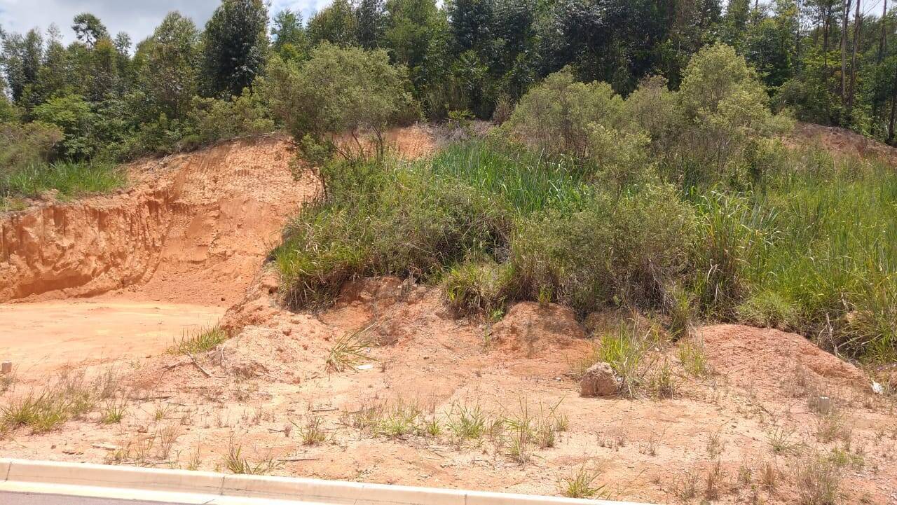 Terreno à venda, 250m² - Foto 7