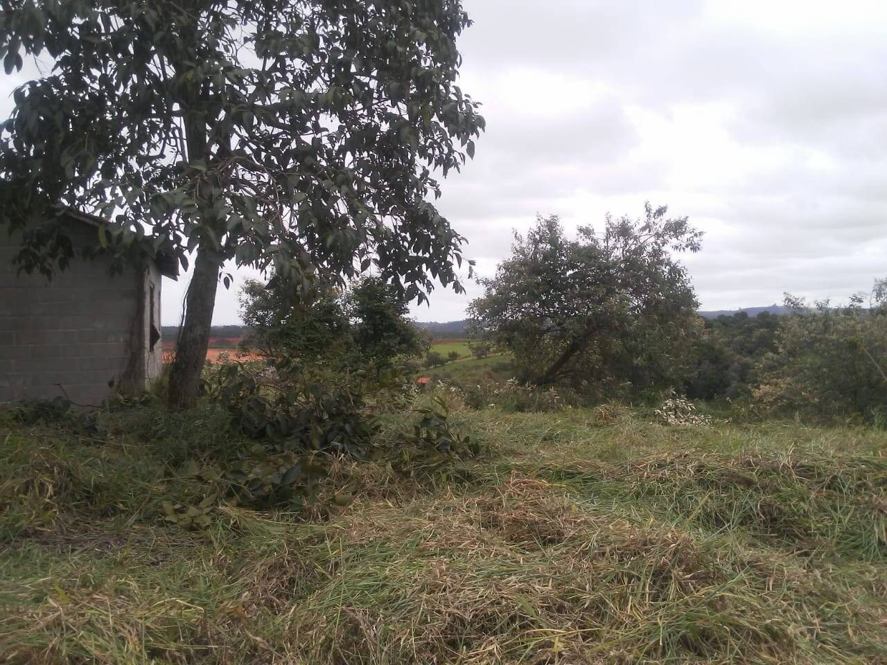 Terreno à venda, 6460m² - Foto 1