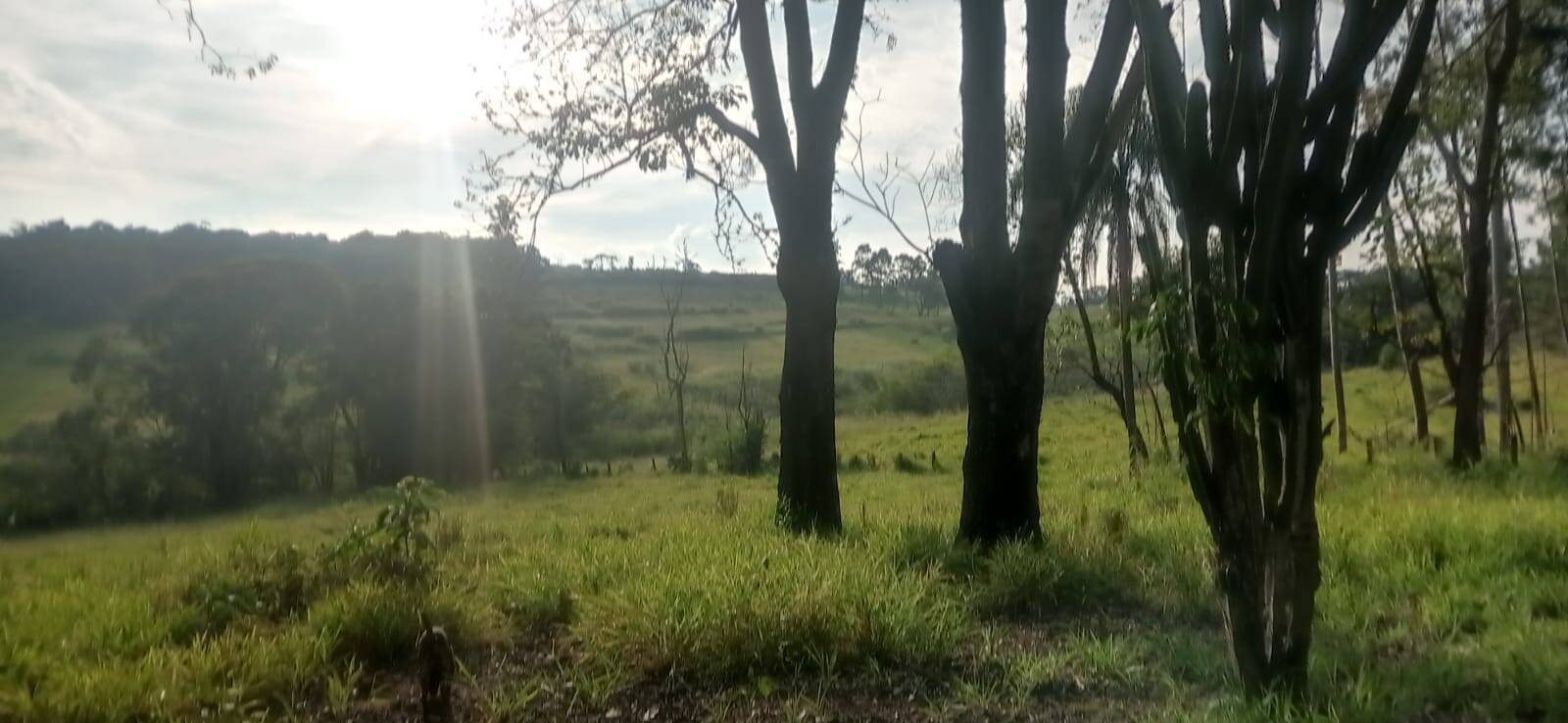 Loteamento e Condomínio à venda, 25000m² - Foto 6