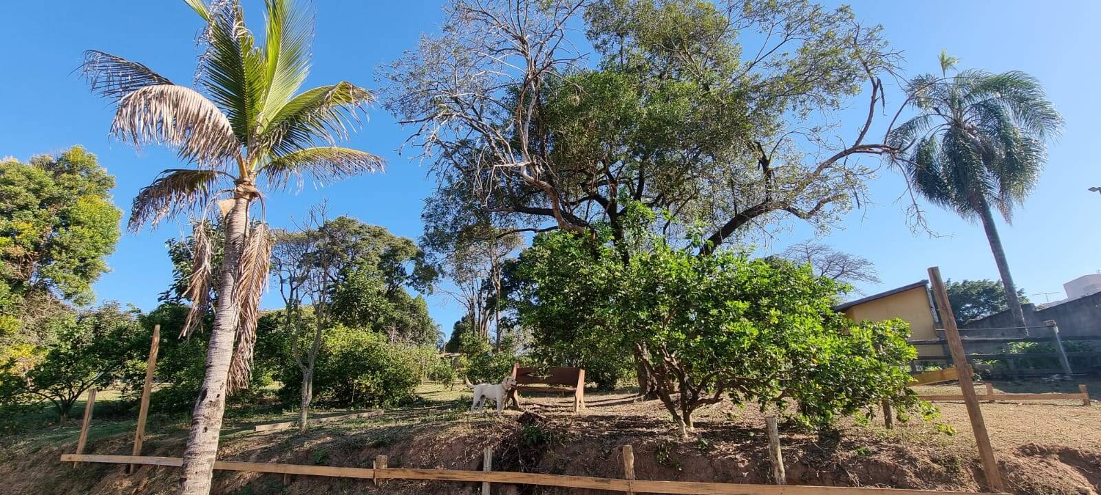 Fazenda à venda com 2 quartos, 19000m² - Foto 12