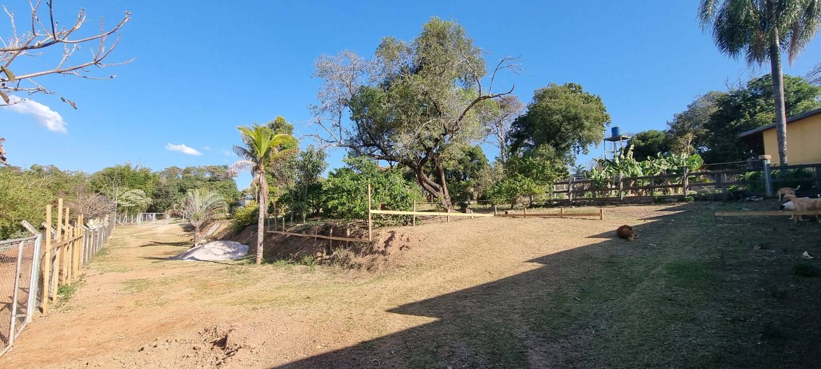 Fazenda à venda com 2 quartos, 19000m² - Foto 15