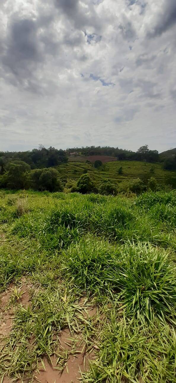 Terreno à venda, 20000m² - Foto 1