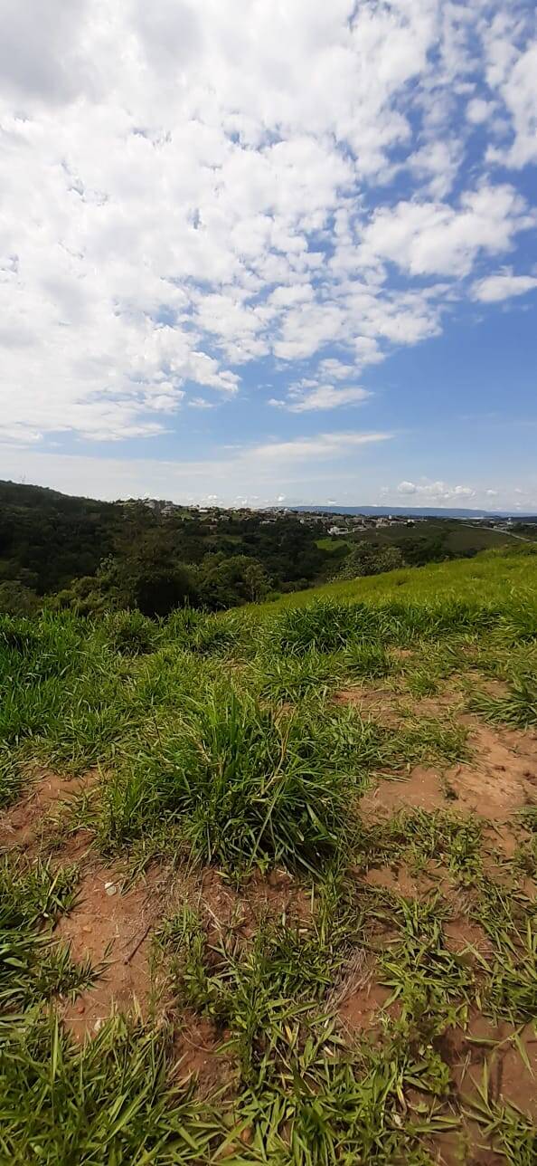 Terreno à venda, 20000m² - Foto 3