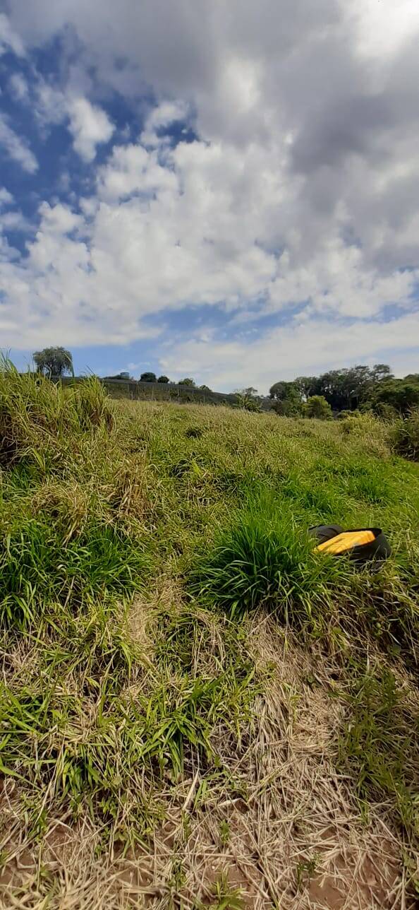 Terreno à venda, 20000m² - Foto 4