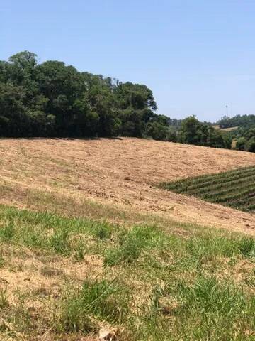 Terreno à venda, 20000m² - Foto 3