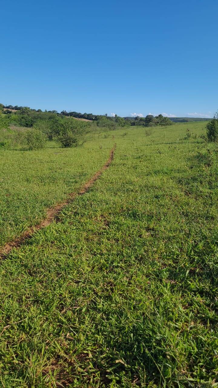 Terreno à venda, 64000m² - Foto 2