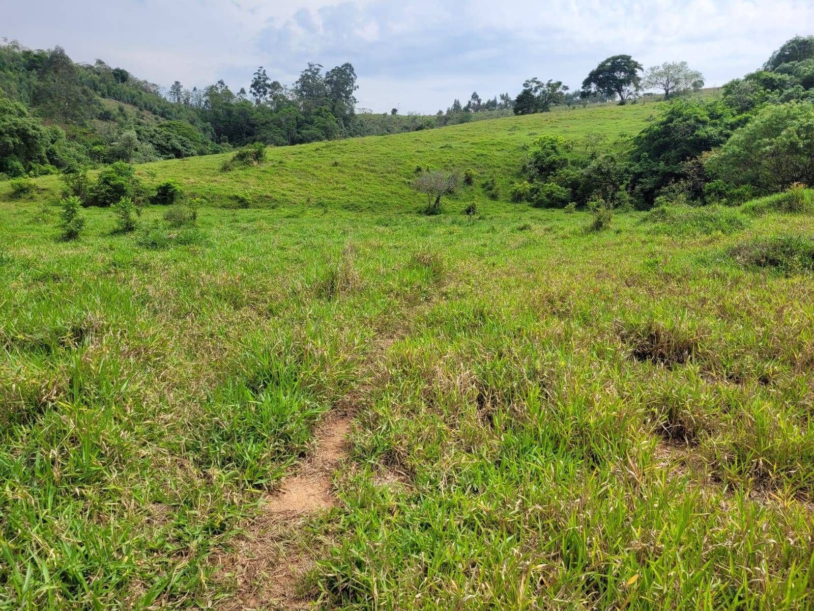 Terreno à venda, 64000m² - Foto 9