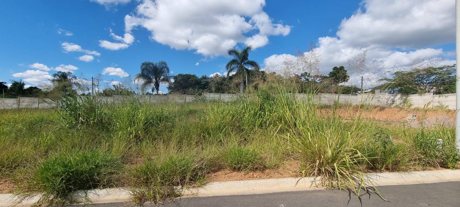 Terreno à venda, 450m² - Foto 2