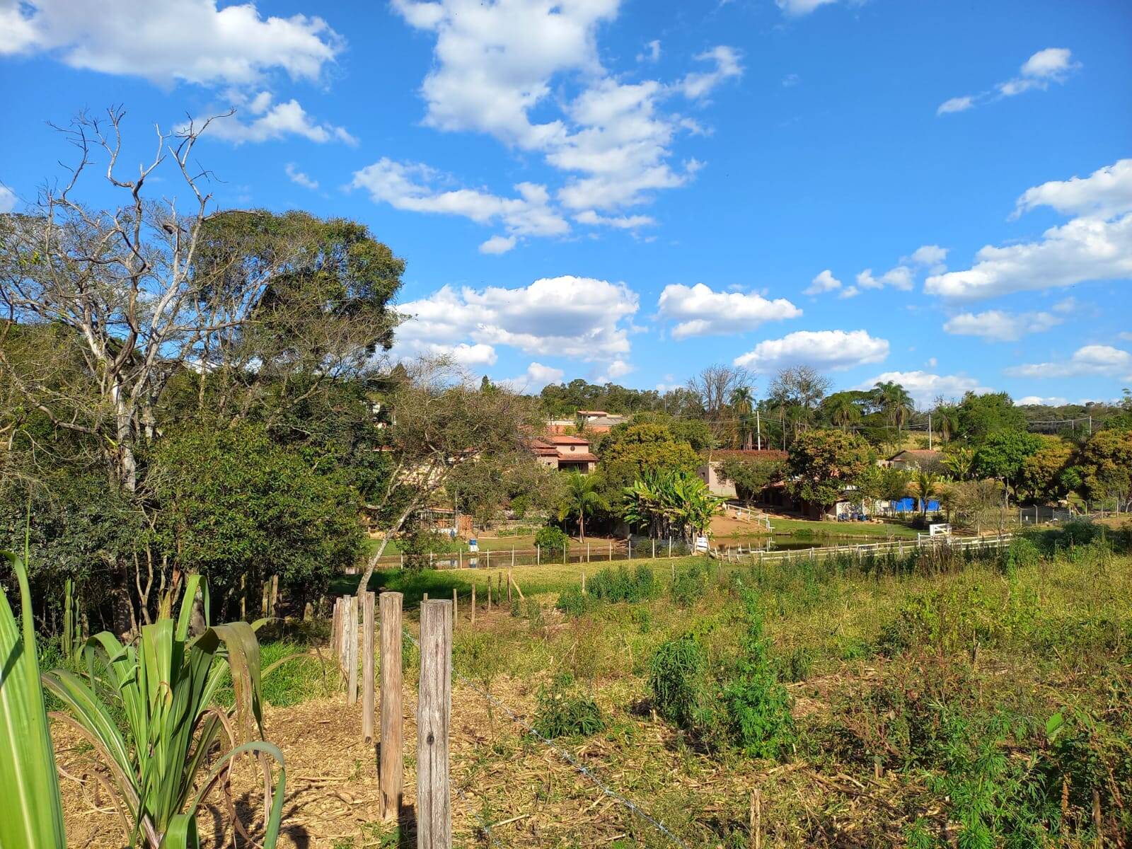 Terreno à venda, 24200m² - Foto 1