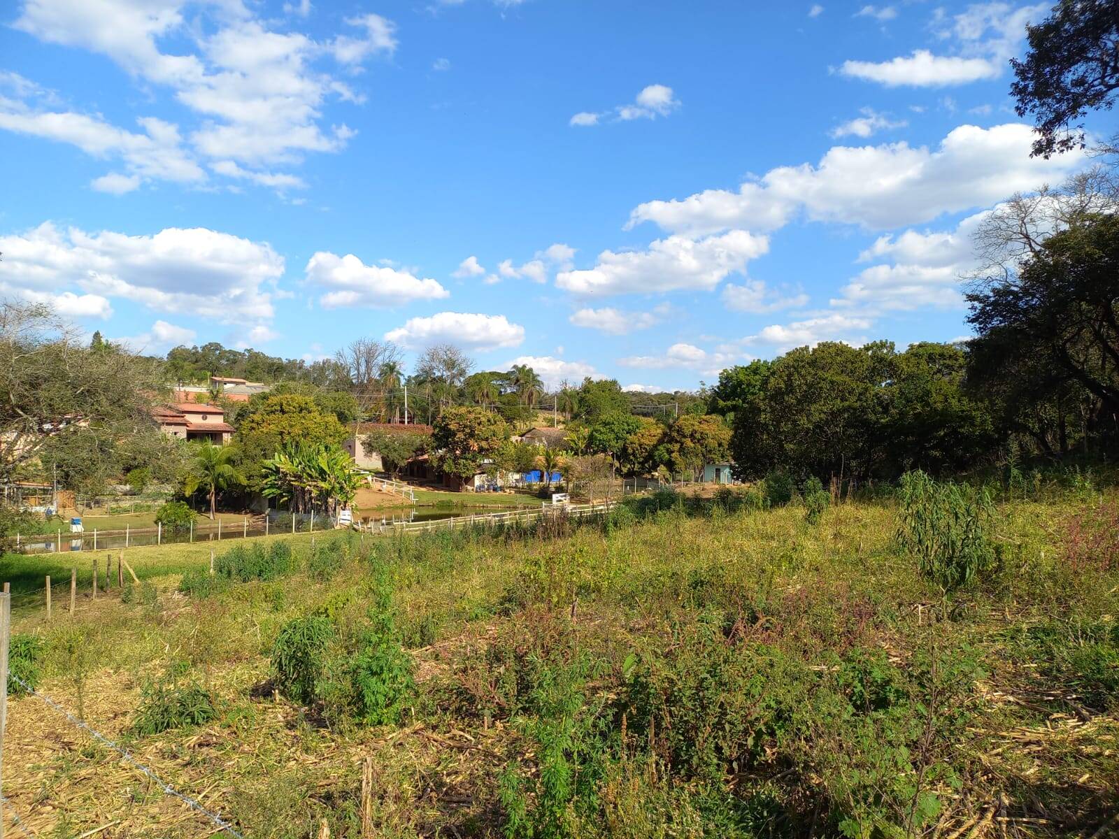 Terreno à venda, 24200m² - Foto 4