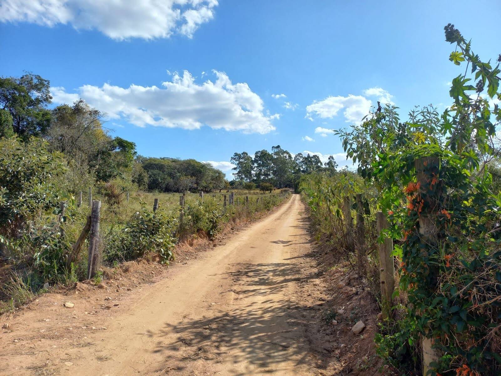 Terreno à venda, 24200m² - Foto 9