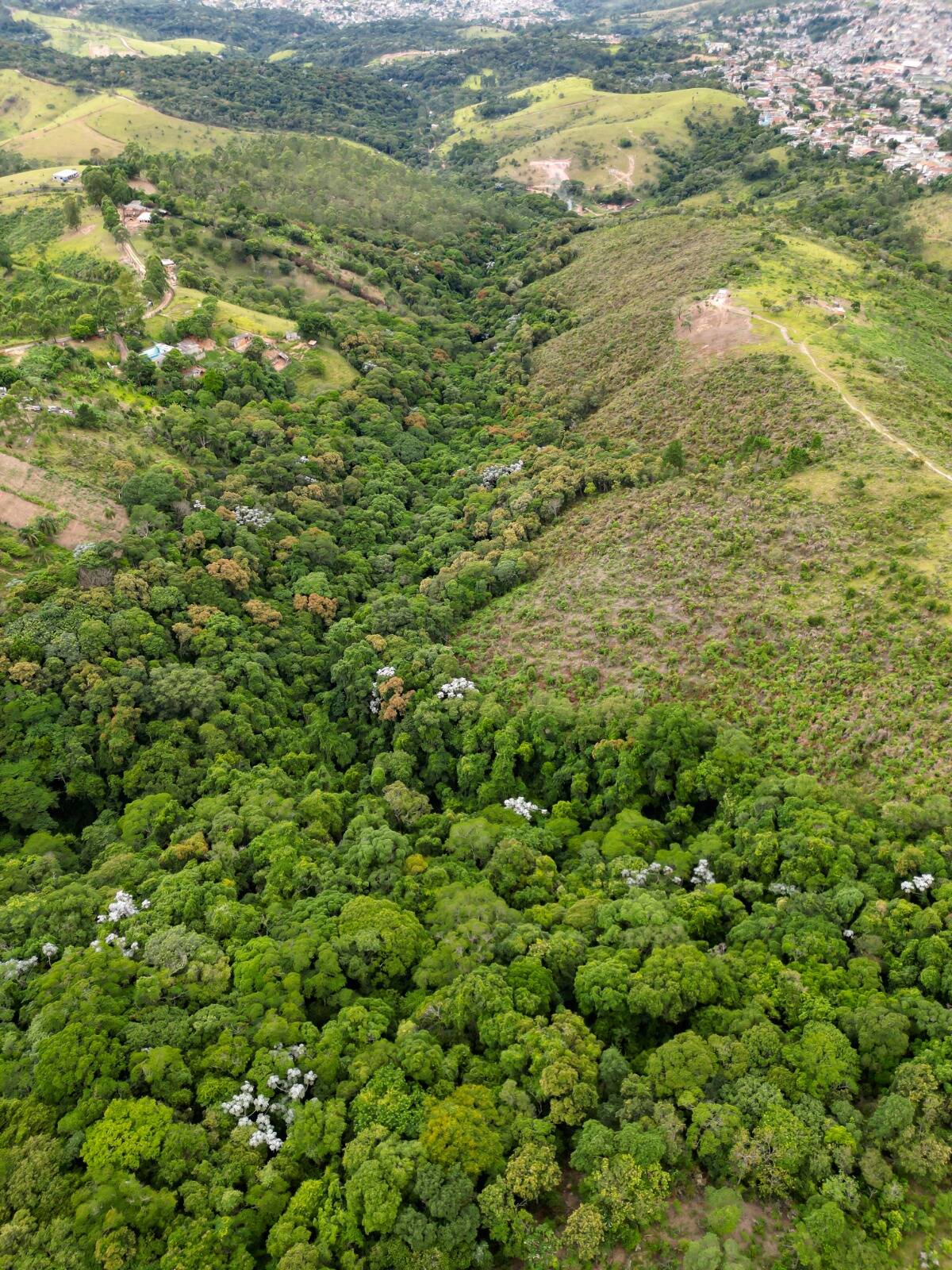 Terreno à venda, 135000m² - Foto 19