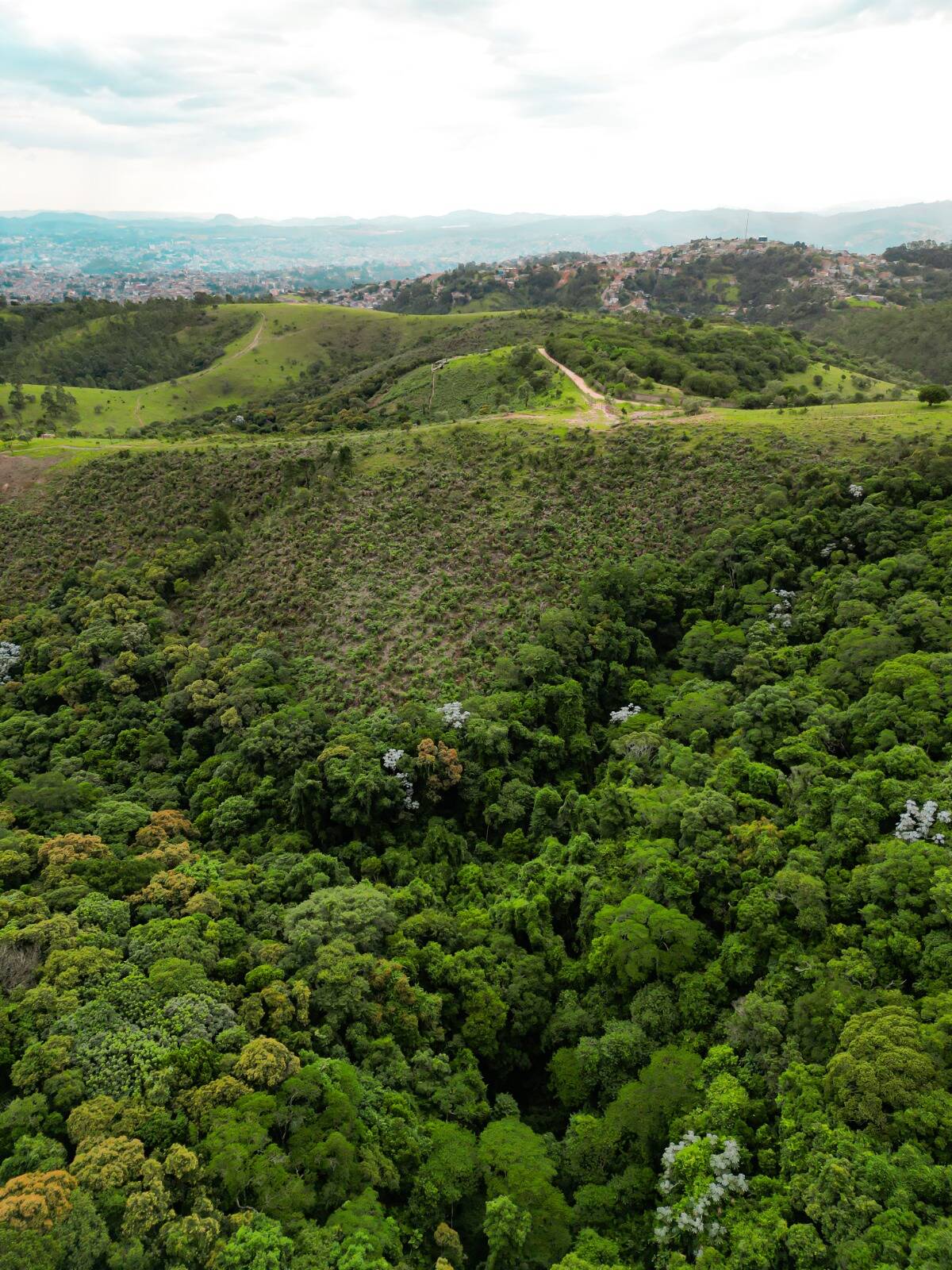 Terreno à venda, 135000m² - Foto 24