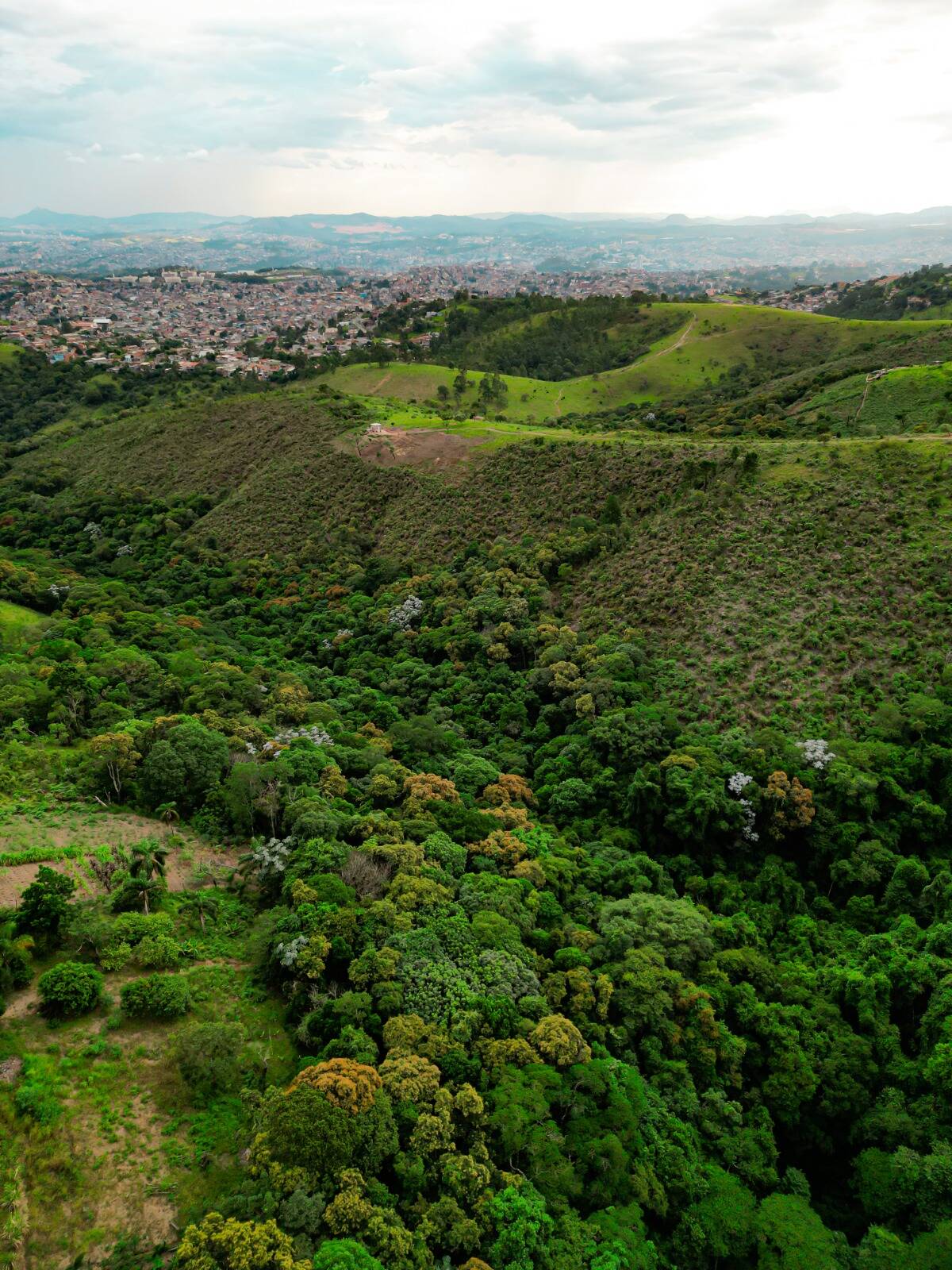 Terreno à venda, 135000m² - Foto 25