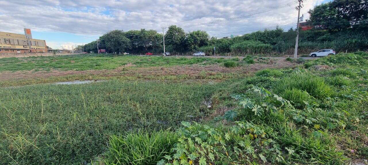 Loteamento e Condomínio à venda e aluguel, 10400m² - Foto 7