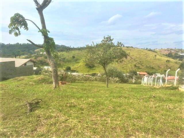 Terreno à venda, 1000m² - Foto 3